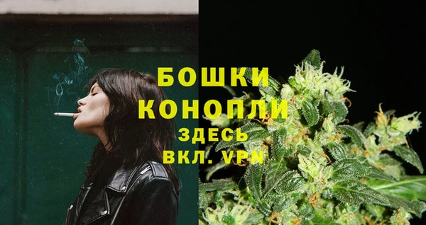 ешки Арсеньев