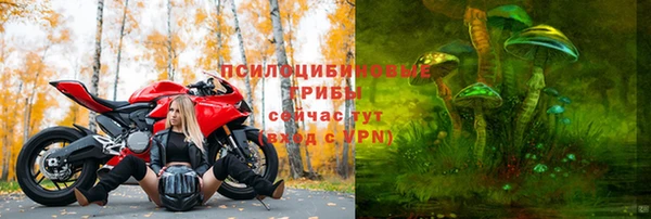 мяу мяу мука Аркадак