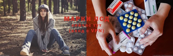 ешки Арсеньев